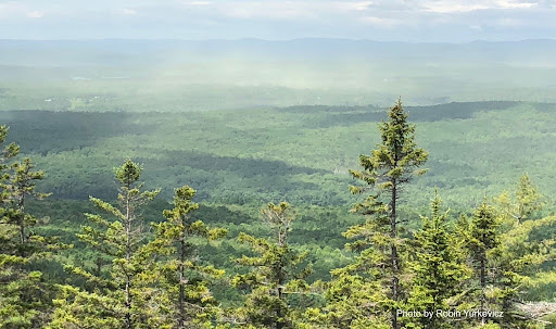 From Great Pond Mt