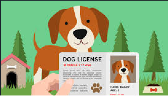 Dog and Snowmobile Registrations open 10-15-2026