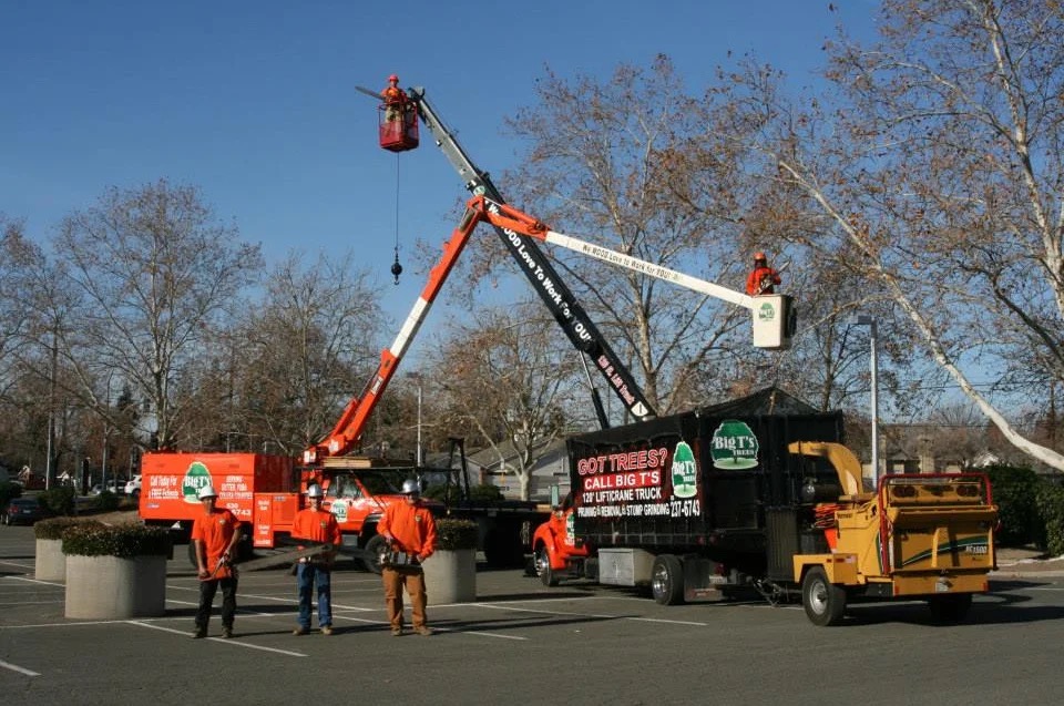 Traffic Alert Tree trimming Thursday 9-12 and Friday 9-13. See list below
