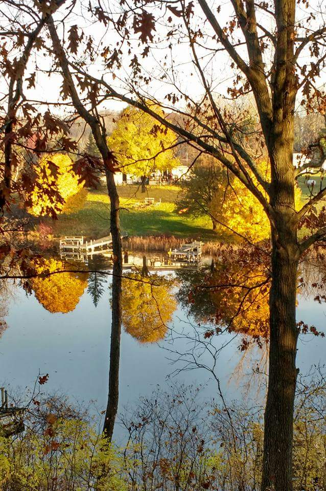 Golden autumn reflection