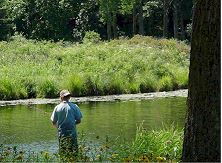Man fly fishing