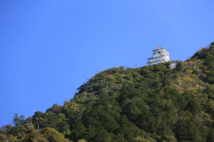 Gifu Castle