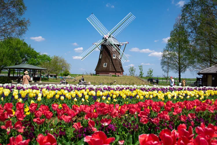 Akebonoyama Agriculture Park