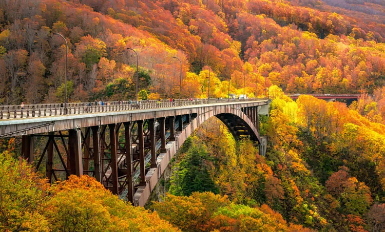 Jogakura ohashi Bridge