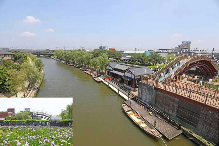 Suigo Itako Ayame Garden