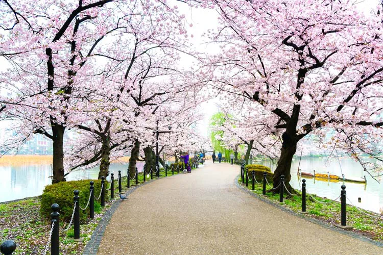 Ueno Park