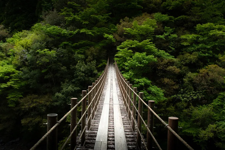 Momigi Suspension Bridge