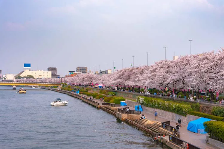 Sumida Park