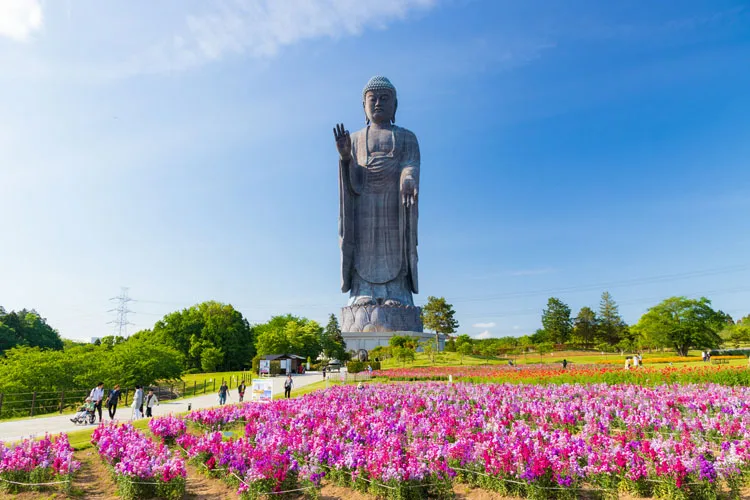 Ushiku Daibutsu Buddha Statue