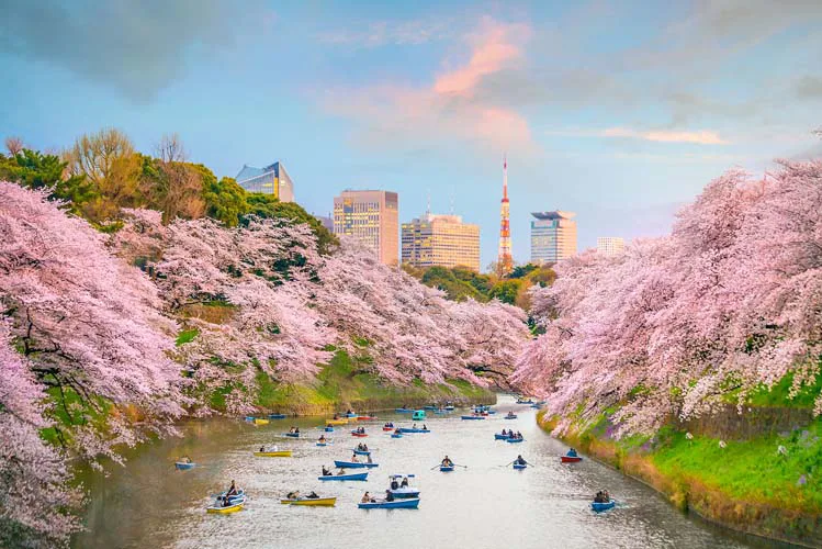 Chidorigafuchi Moat