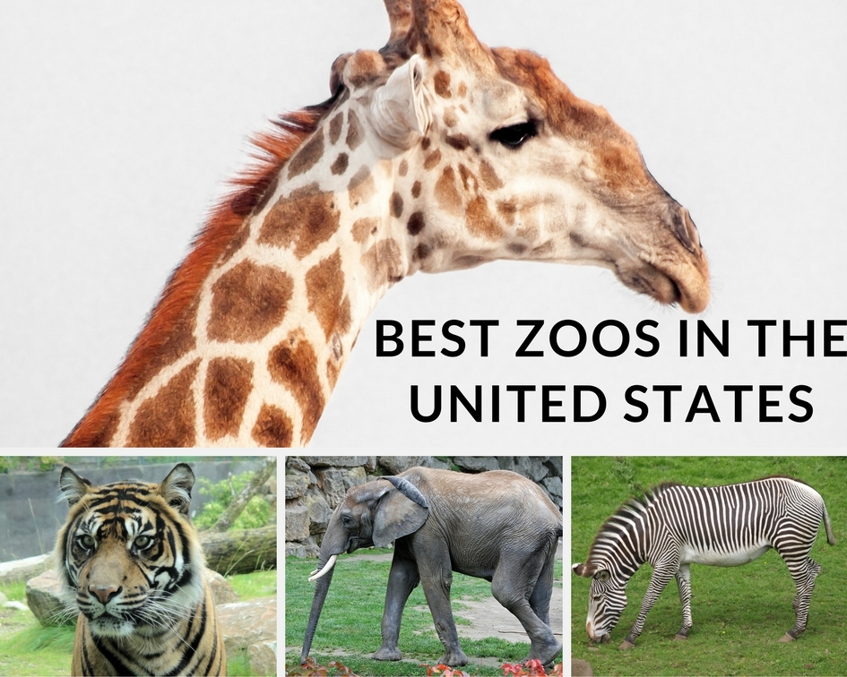 best zoo s u.s.a