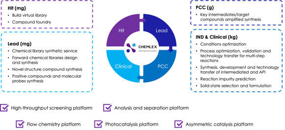 ヒット化合物からリード化合物まで一貫合成可能