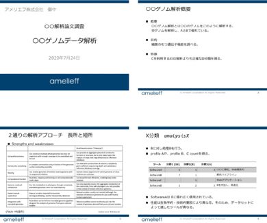 報告書イメージ１