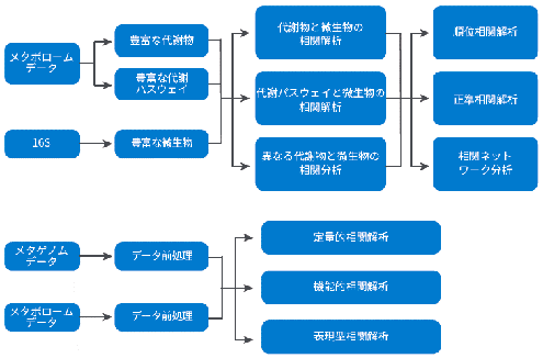 研究アプローチ