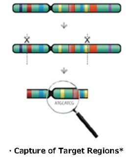 Exome マクロジェン・ジャパン エクソーム／ターゲットシーケンシング