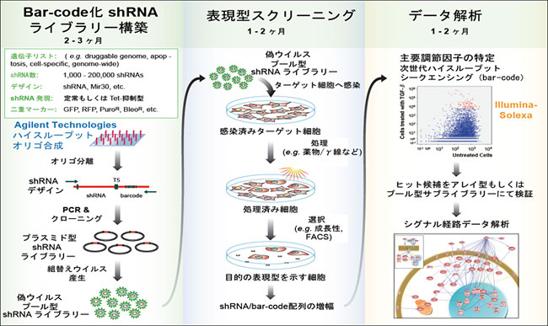 相互作用解析 Cellecta ハイスループットRNAi遺伝子スクリーニングサービス HT RNAi Genetic Screens