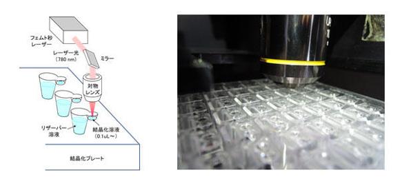 LIGHT: Laser Irradiated Growth Technique原理図