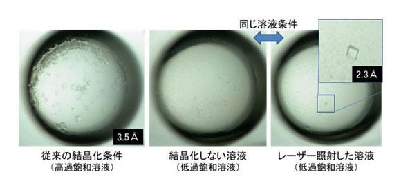 膜タンパク質の結晶化成功例