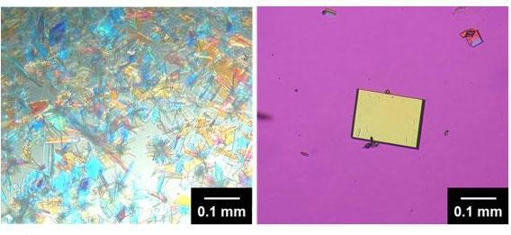 レーザー照射による結晶化スクリーニングで得られた有機低分子X（分子量1000程度）の結晶（左）と、その条件の最適化で得られた大型高品質結晶（右）