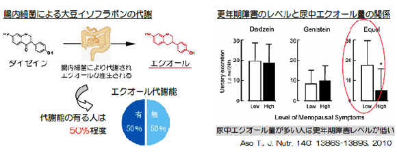 生体試料分析 ヘルスケアシステムズ 尿中エクオール受託分析サービス