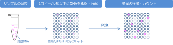 デジタルPCRの検出方法
