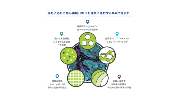 関心領域（ROI）の設定