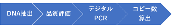 デジタルPCR ～ コピー数変異（CNV） ～流れ