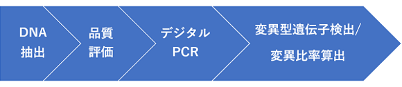 デジタルPCR ～ 変異解析 ～流れ