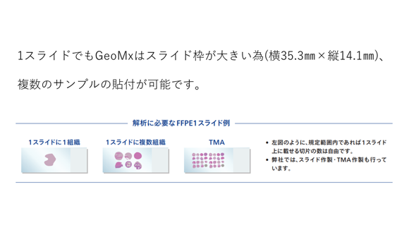 GeoMxは1スライドの枠が大きい為、複数のサンプルの貼付が可能