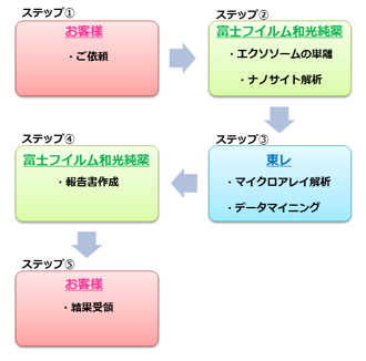 サービスの流れ