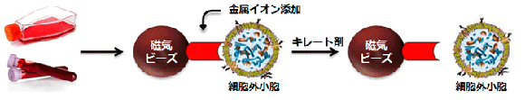 PSアフィニティー法によるエクソソーム単離の原理