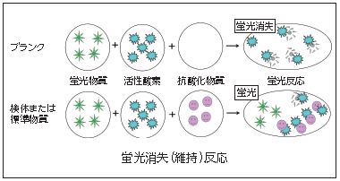 ORAC法概要