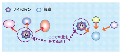 サイトカイン