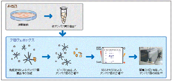 基本サービス