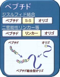  ジーンデザイン 機能性コンジュゲーションカスタムオリゴ合成受託サービス