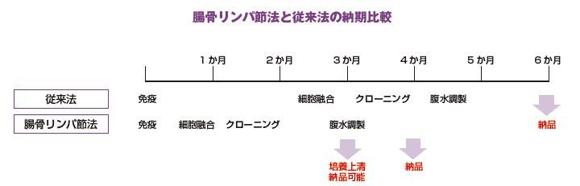  ホクドー 腸骨リンパ節を用いたラットモノクローナル抗体作製受託サービス