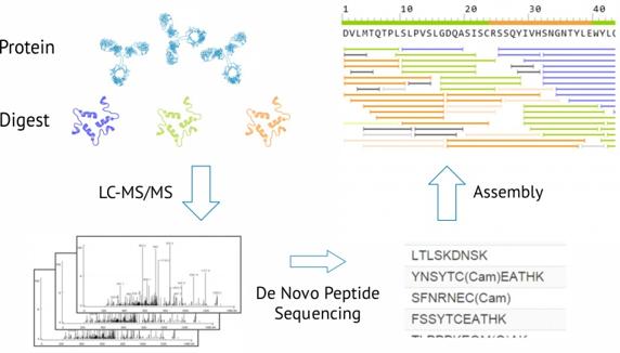  Absolute Antibody Ltd 抗体タンパク質シークエンシング受託サービス