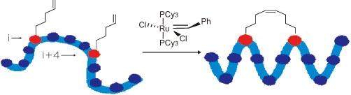  AnaSpec, Inc. Hydrocarbon-Stapled分子内架橋ペプチド合成受託サービス