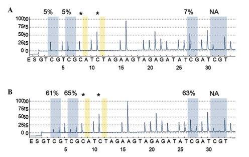  AnyGenes SARL DNAメチル化解析受託サービス