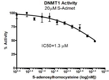  BPS Bioscience Inc. DNMT阻害物質(インヒビター)スクリーニング受託サービス