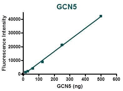  BPS Bioscience Inc. アセチルトランスフェラーゼ阻害物質スクリーニング受託サービス