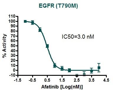  BPS Bioscience Inc. キナーゼ阻害物質(インヒビター)スクリーニング受託サービス