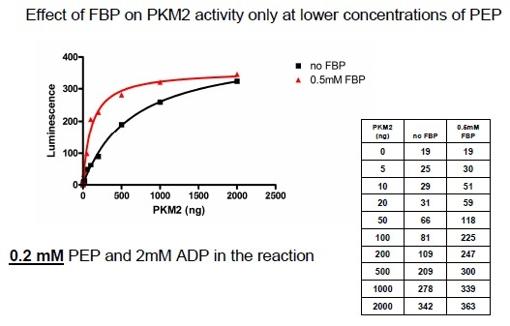  BPS Bioscience Inc. ピルビン酸キナーゼ活性物質スクリーニング受託サービス