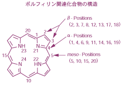  Frontier Scientific Inc. ポルフィリン合成受託サービス