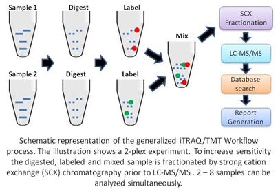  ITSI-Biosciences, LLC iTRAQ/TMT法タンパク質解析受託サービス