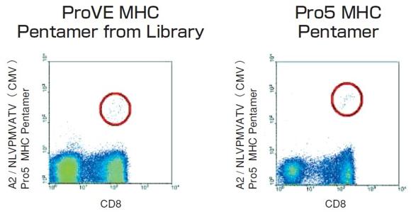  ProImmune Ltd. ProVE MHC Class I Pentamer Library作製受託サービス