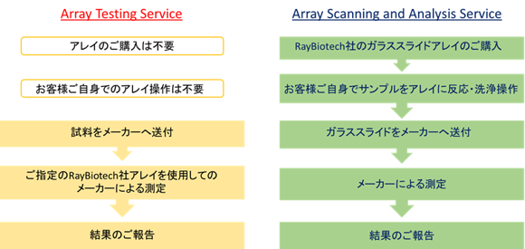  RayBiotech, Inc RayBiotech社 アレイ測定受託サービス