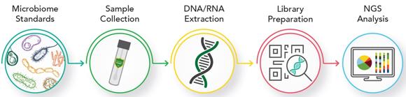  ZYMO RESEARCH Microbiomics Service