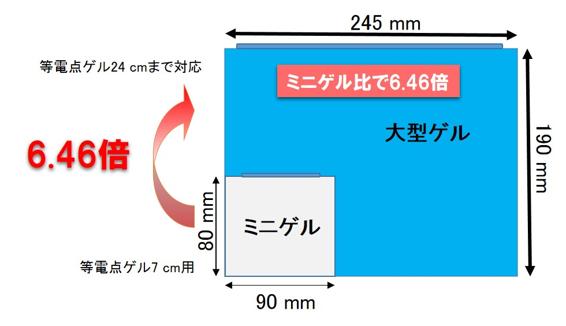  いであ 二次元電気泳動受託サービス