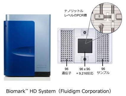  オーピーバイオファクトリー 多数試料における多数遺伝子の発現解析受託サービス